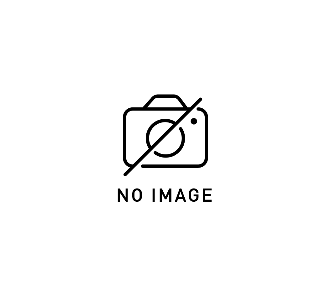 カイトのプロフィール画像